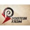 PROTEIN FARM