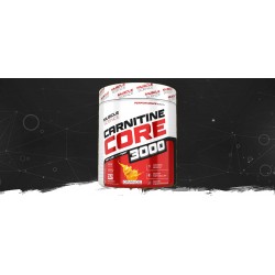 MUSCLE SCIENCE CARNITINE CORE 3000 - FAT BURNER 30 SERVING 